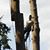 Halldin Bridges's profile image