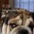 Judy Anthony's profile image