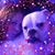 Samantha Laczavics's profile image
