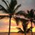Donna Bohnenstiehl's profile image