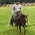 Jason Hiers's profile image