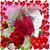 Mary Robertsnolan's profile image
