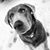 Megan Dorcy Yanity's profile image