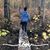 Wendy Wiltfong's profile image