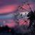 Kimberly Andreski-Spencer's profile image
