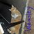 Natosha Hoks's profile image