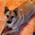 Kenneth C. Karnes's profile image
