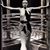 Dawn Fenimore Hoff's profile image