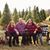Leo N Theresa Geppner's profile image