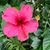 Bridget Stute's profile image