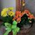 Brenda Durst Gocht's profile image