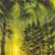GaelAwen Ba'nVran's profile image