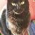 Debbe Sabin's profile image