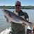 John Lusuriello's profile image