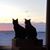 Becky Moser's profile image