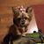 Sarah Carter's profile image