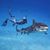 Edgardo Agosto Perez's profile image