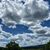 Carolyn Cole's profile image
