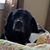 Wendy Himmelstein Martelli's profile image