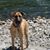 Tom Green's profile image