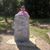 David Shane Spencer's profile image