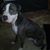 Scott Cressie's profile image