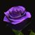 Beth Fulgham's profile image