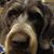 Robert Rein's profile image