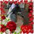 Deb Kemper's profile image