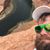 Matthew Smith's profile image