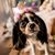 Laura Fortner's profile image