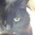 Patricia Cammack's profile image