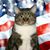 Gregory Kudasz's profile image