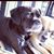 Neal Glazebrook's profile image