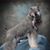 Chris Hendee's profile image