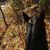 Brenda Erickson's profile image