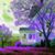Barb Wofford's profile image