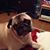 Rory Recio Turcotte's profile image