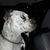 Perry Pirsch's profile image