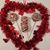 Tiffany Scarmuzzi Fisher's profile image