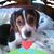 Polly Baker's profile image