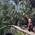 Canyon Meaney's profile image