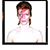 David Lindsey's profile image