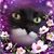 JulieAnn Pixie Cook's profile image