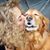 Peggy Alexander's profile image