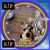 Elaine House's profile image