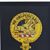Sandy Lynn Lovejoy's profile image