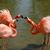 Patti Bay Easterday's profile image