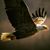 Dennis Pierce's profile image