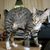 Christine Learn's profile image